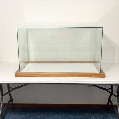 Large Glass Display Box With Wood Base
