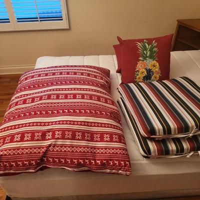 5 Pillow Lot