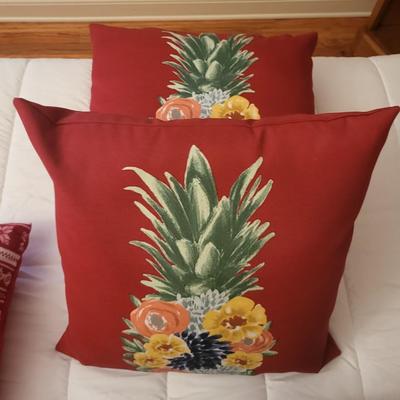 5 Pillow Lot