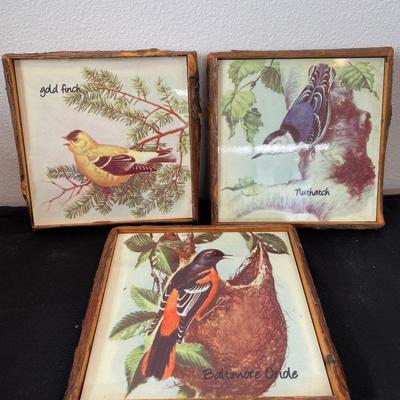 21- 3 framed bird tiles