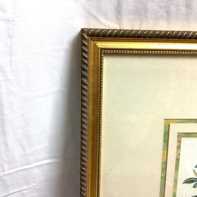 416 Windsor Art "Song Birds" Framed Print