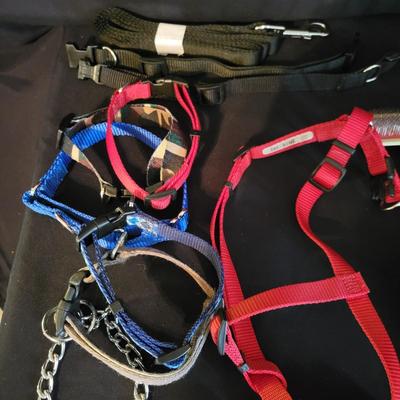Petco Training Crate, Leashes, Harnesses and More (DR-DW)