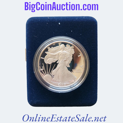 AMERICAN EAGLE SILVER BULLION COIN