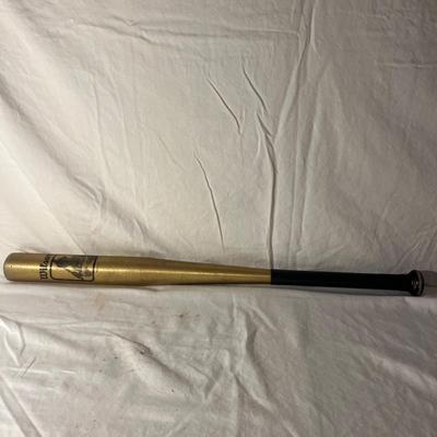 Wilson Baseball Bat & Gloves (LR-MG)