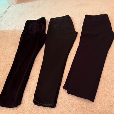 Size 14/16 Pants - J.Jill, Bandolino & More (UO-RG)