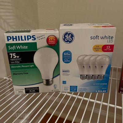 Light Bulbs (HC2-MG)