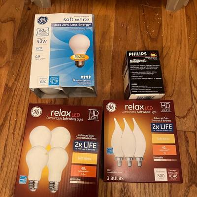 Light Bulbs (HC2-MG)