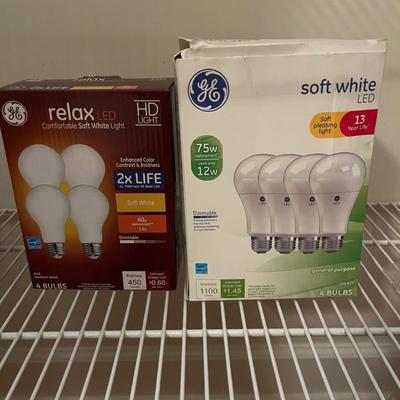 Light Bulbs (HC2-MG)