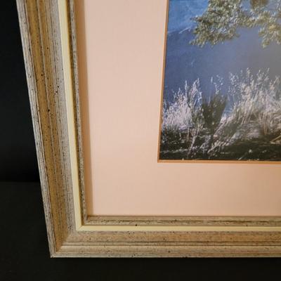 Four Framed Photographs of the Grand Canyon (D-DW)