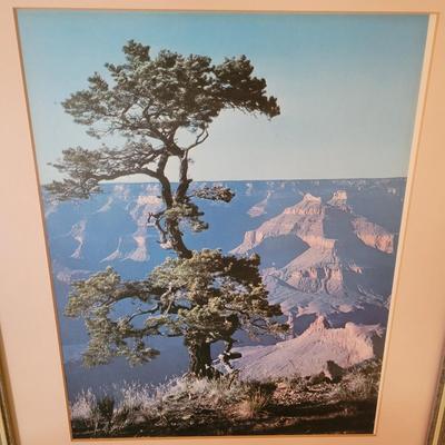 Four Framed Photographs of the Grand Canyon (D-DW)