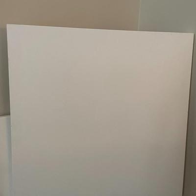 Blank Canvases