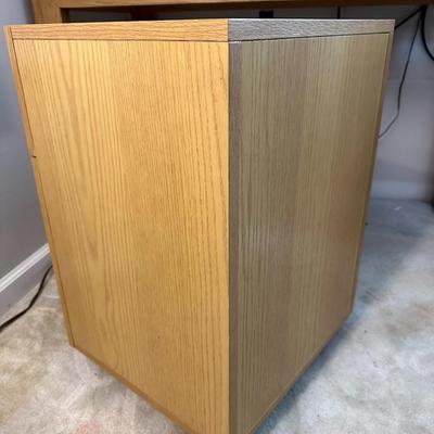 2 Drawer Filing Cabinet