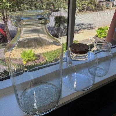 Large Glass Jars