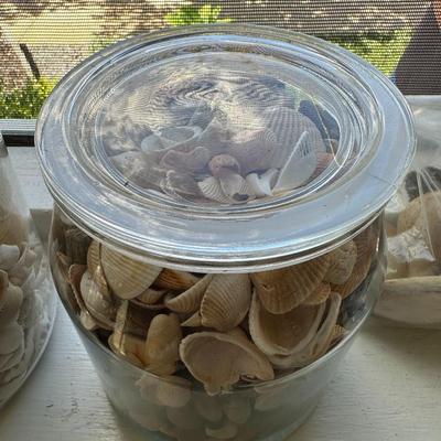 Glass Jars of Shells & Rocks!
