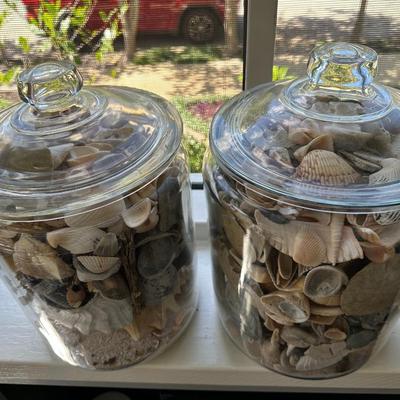 Glass Jars of Shells & Rocks!