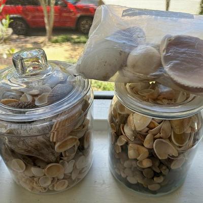 Glass Jars of Shells & Rocks!