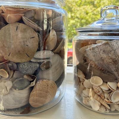 Glass Jars of Shells & Rocks!