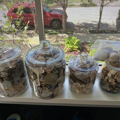 Glass Jars of Shells & Rocks!