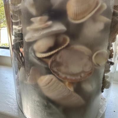 Glass Jars of Shells & Rocks!