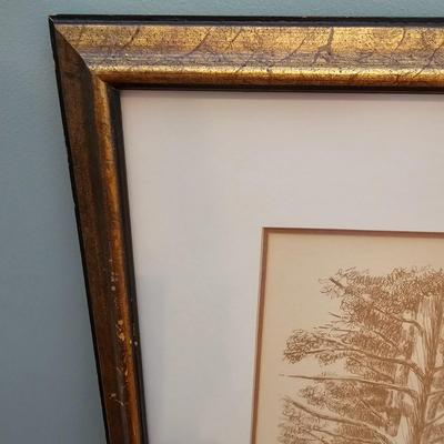 Three Fred Brauer Pencil Signed Art (PS-JS)