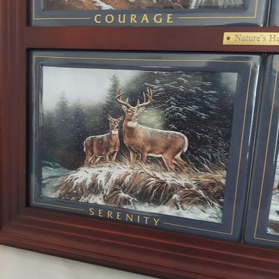 Collectible Wildlife Plates (B1-BBL)