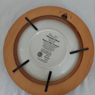 Collectible Bird Plates (B1-BBL)