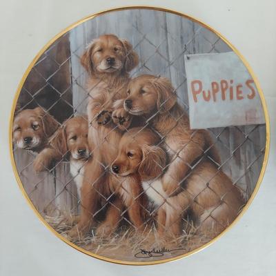 Collectible Dog Plates (B1-BBL)
