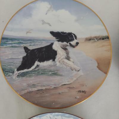 Collectible Dog Plates (B1-BBL)
