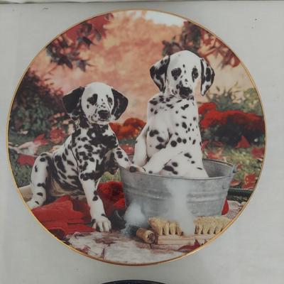 Collectible Dog Plates (B1-BBL)