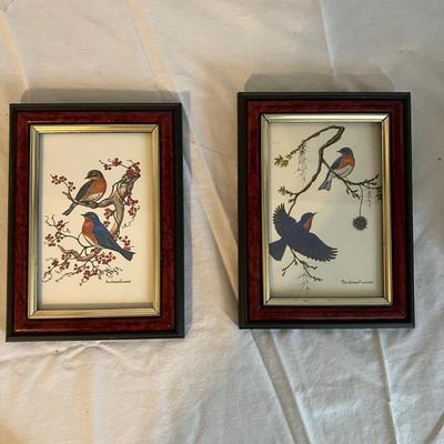 Bird Clocks, Framed Prints and More (LR-MK)