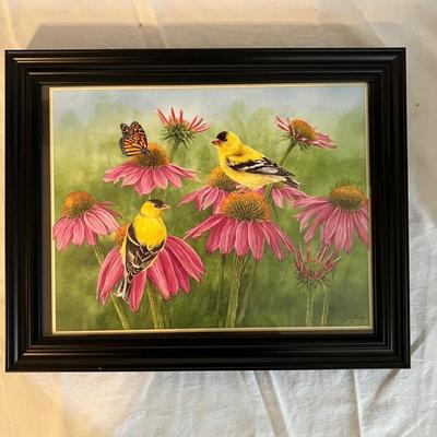 Bird Clocks, Framed Prints and More (LR-MK)