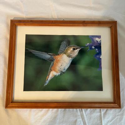 Bird Clocks, Framed Prints and More (LR-MK)