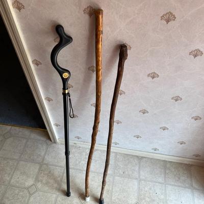 The Campbell Cane Walking Stick & More (FE-MK)