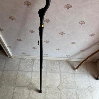 The Campbell Cane Walking Stick & More (FE-MK)