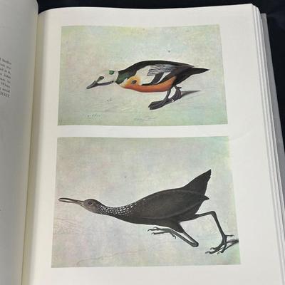 The Birds of America John James Audubon with Water-Color Painting Prints Coffee Table Book