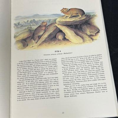 Vintage The Imperial Collection of Audubon Animals Hardcover Coffee Table Book Illustrated