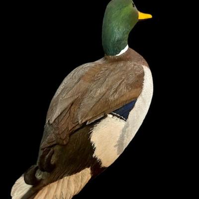 Hand Carved Wooden Decorative Duck Decoy - Mallard Drake