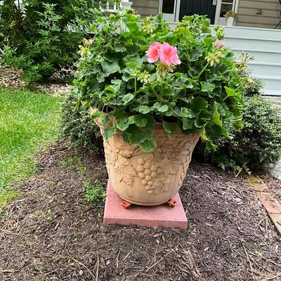 O-1230 Pair of Terra Cotta Grape Design Flower Pots with Pink Geraniums