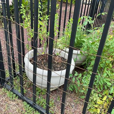 O1244 Pair of White Plastic Flower Pots