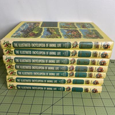 7 Series Book Set