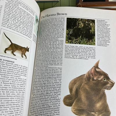 3 Set of Animal Collection Books