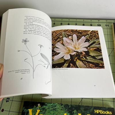 4 Set of Planting fruits & gardening Books