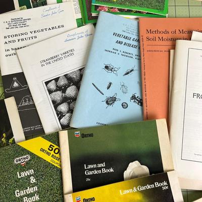 Collection of Books