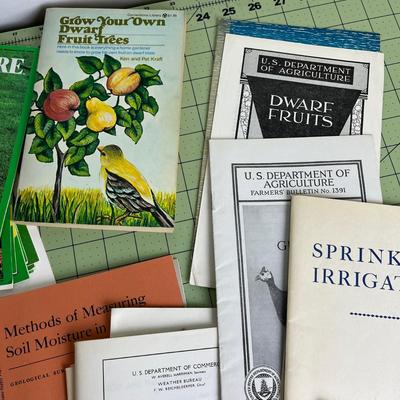 Collection of Books