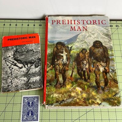 2 various set of Prehistoric Man