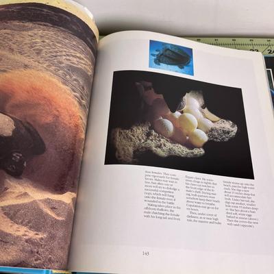 Collections of 3 Marine Animal Books