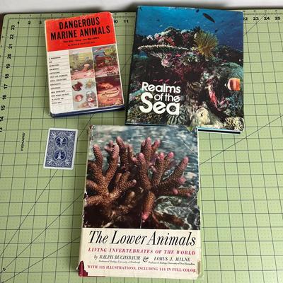 Collections of 3 Marine Animal Books