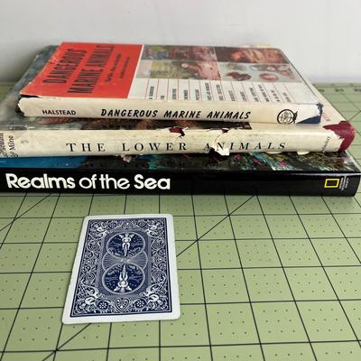 Collections of 3 Marine Animal Books