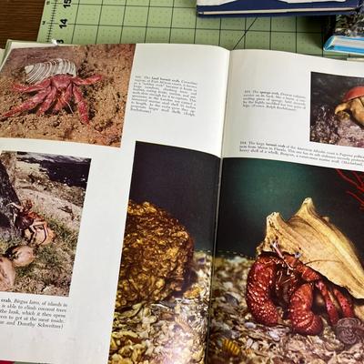 Collections of 3 Marine Animal Books