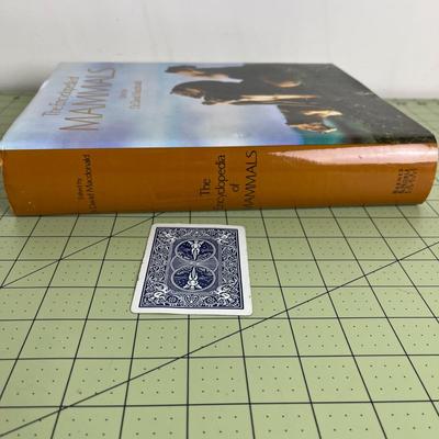 The Encyclopedia of Mammals